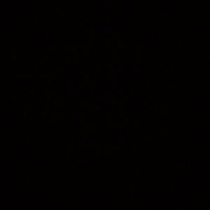 Meet your Posher, Ben